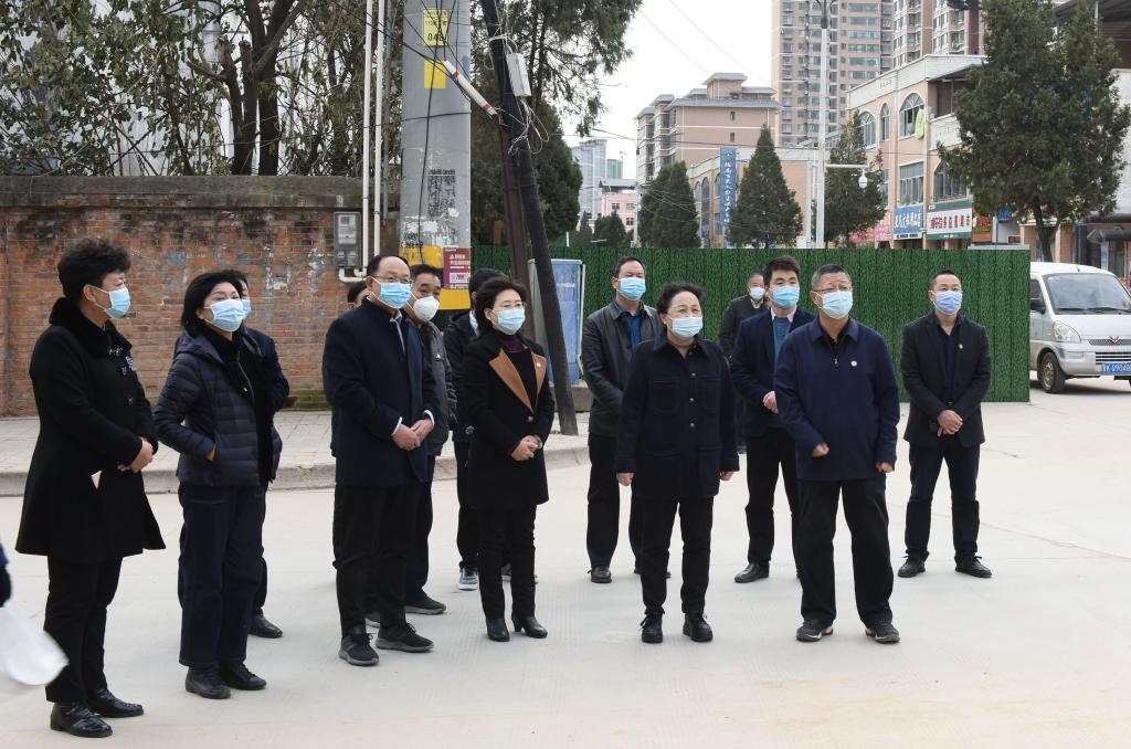 梁英田晓琴来我校检查指导疫情防控工作-陇南师范高等专科学校欢迎您!